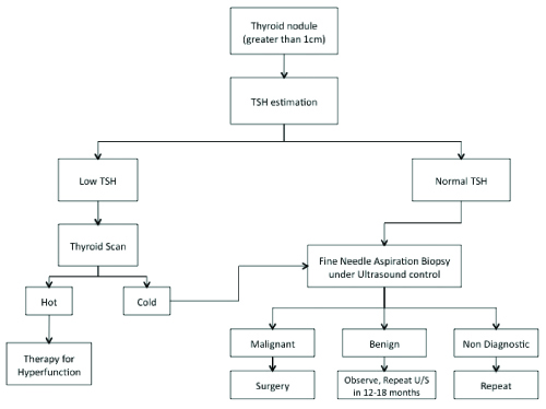 thyroid scan